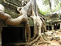 Angkor-112191.jpg
