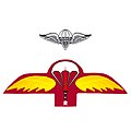 Bangladesh Army Commando Rigger Parachutist badge.jpeg