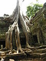 Angkor-112179.jpg