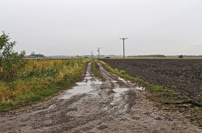 File:Muddy farm track off Black Drove - geograph.org.uk - 3210866.jpg