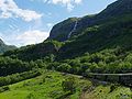 Tren Flam-Myrdal.jpg