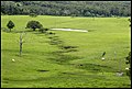 Erosion but so green at Mt Mee (39399292881).jpg