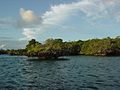 Aldabra Atoll-108989.jpg