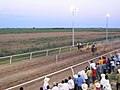 Horse race near Culiacán, Sinaloa (cc-by-sa)