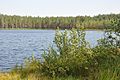 Aklais ezers, Vecumnieku pagasts, Vecumnieku novads, Latvia - panoramio (2).jpg