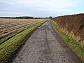The road to Great Limber - geograph.org.uk - 1123794.jpg