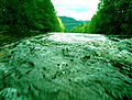 Green river.jpg