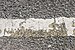 Parking bay white line detail, Tesco, Oban, July 2020.jpg