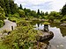 Seattle Japanese Garden June 2018 006.jpg