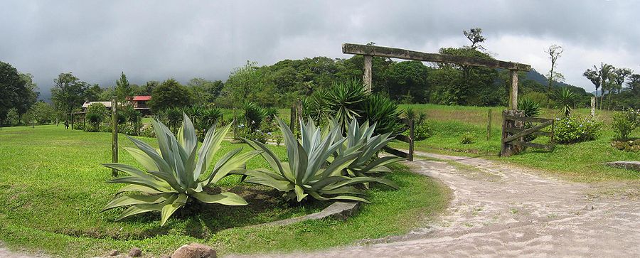 Near a settlement on the crater rim around Santa Fé (Veraguas Province), Panamá (the eastern edge of the rim, I believe)