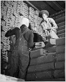 "... women employed at Savannah Quartermaster Depot, Savannah, Georgia." - NARA - 522887.gif
