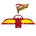 Bangladesh Army Commando Pathfinder Parachutist badge.jpeg