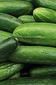 Ryerson Market cucumbers on sale.jpg