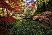 Portland Japanese Garden October 2019 007.jpg