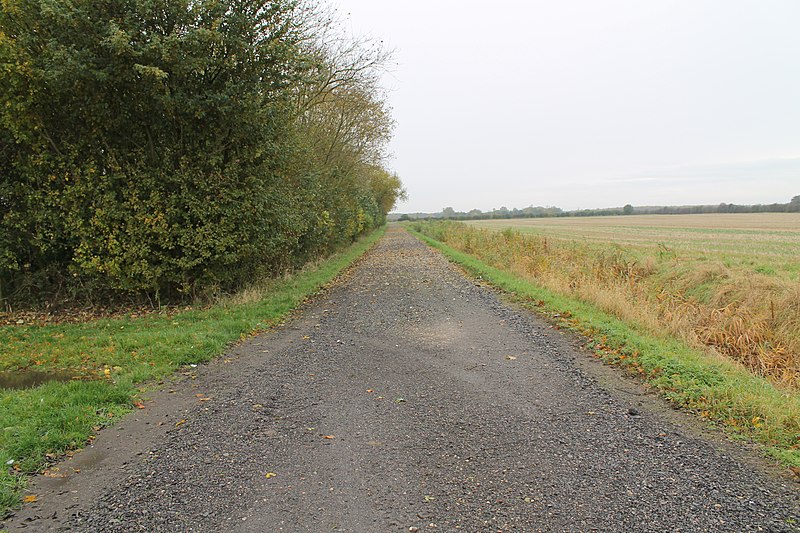 File:Track and Drain towards Grange Farm - geograph.org.uk - 3210851.jpg