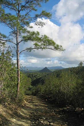 A nipple-shaped hill near Baracoa, Cuba