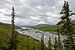 Joe Creek with spruce trees, Ivvavik National Park, YT.jpg
