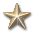 Award star-gold-3d.svg