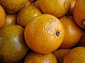 Florida navel orange
