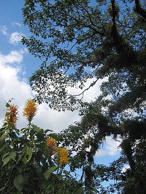 Near Orosí, Costa Rica