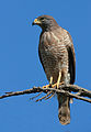 Thumbnail for version as of 15:06, 21 March 2010