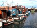 File:Kalk Bay Harbour.ogv