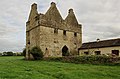 Castles of Munster, Tickincor, Waterford (2) - geograph.org.uk - 1542453.jpg