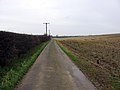 The Track to Deepdale Farm - geograph.org.uk - 301502.jpg