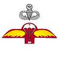 Bangladesh Army Commando Jumpmaster Parachutist badge.jpeg