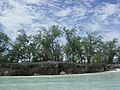 Aldabra Atoll-108985.jpg