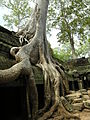 Angkor-112193.jpg
