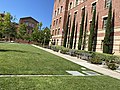 UCLA lawn.jpg