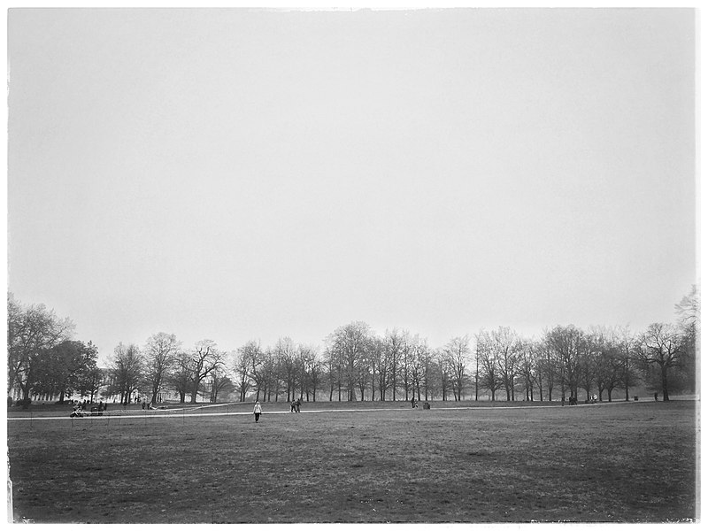 File:Misty Greenwich Park - Flickr - garryknight.jpg