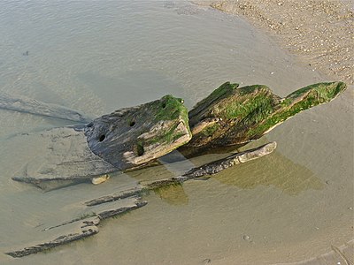 The bow of a wooden shipwreck