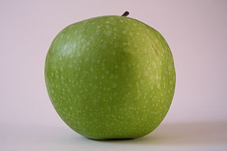 Apfel 06.jpg