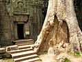 Angkor-112177.jpg