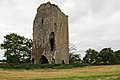 Castles of Munster, Tombrickane, Tipperary - geograph.org.uk - 1542038.jpg