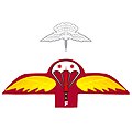 Bangladesh Army Commando Free-Fall Parachutist badge.jpeg