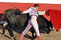 A bullfighter in the arena, San Miguel de Allende, Mexico.jpg
