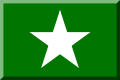 Green rectangle with white star.svg