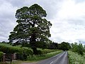 The Road to Saxby All Saints - geograph.org.uk - 172147.jpg