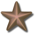 Bronze-service-star-3d-vector.svg