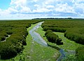 Saltmarsh, Pagham Harbour - geograph.org.uk - 501480.jpg