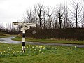 Signpost in Spring - geograph.org.uk - 743560.jpg