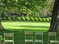 Paris 75006 Jardin du Luxembourg lawn 20160417 Fermob chairs.jpg