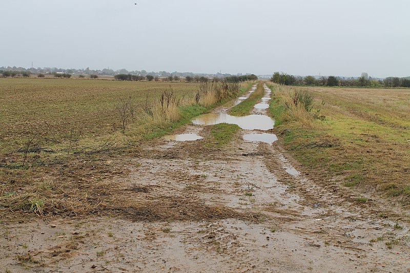 File:Muddy farm track with puddles - geograph.org.uk - 3210874.jpg