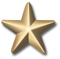 Award-star-gold-3d.svg