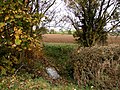 The road to Hareby, Old Bolingbroke - geograph.org.uk - 611998.jpg