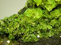 Autunite-90905.jpg