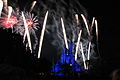 Cinderella Castle and Wishes